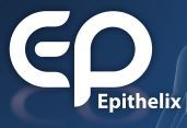 Epithelix_Logo-web