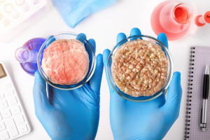 Synthetic meat Synthetic meat