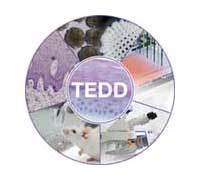 TEDD
