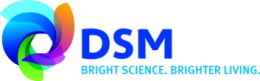 DSM_web