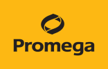 Promega GmbH, Walldorf/D
