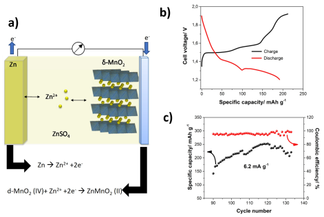 ZiMaBat_Fig.1 ZiMaBat_Fig.1